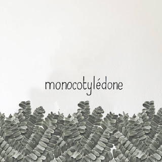   monocotylédone, monocotylédone et dicotylédone, monocot plants, monocotyledon definition, monocots lower classifications, list of monocot plants, what is monocot, monocot definition biology, monocotyledon vs dicotyledon