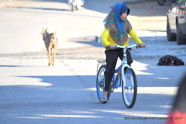 Basikal Fixie Dirampas