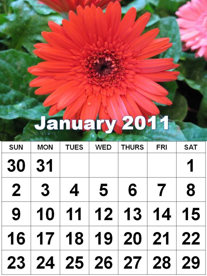 Flowers January 2011 Calendar