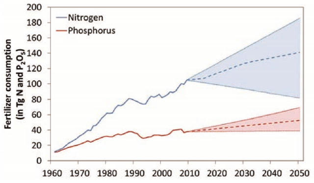 Trends in global mineral fertilizer consumption for nitrogen and phosphorus and projected possible futures,1960-2050. The amounts of nitrogen and phosphorus in 2050 will depend on present-day decisions (expressed as N and P2O5). Graphic: Global Partnership on Nutrient Management (GPNM) in 'Our Nutrient World'