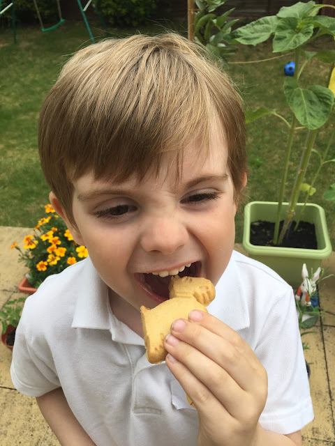 Walkers Scottie Dog Shortbread Biscuits