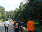 Penebangan Pohon Kering Ganggu Lalu Lintas di Jalur Dua Dekat Taman Sayang, Ini Penjelasan BPBD Lutim
