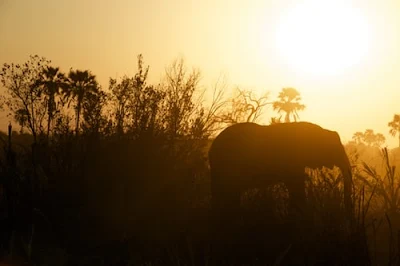 Best African Parables and Words of Wisdom for Family and Friends