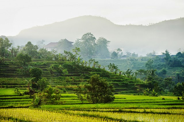 Bali Indonesia Holiday Travels Sidemen Village  Offers a 