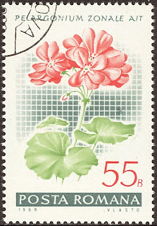 1968 Posta Romana - Pelargonium zonale, Muscata 
