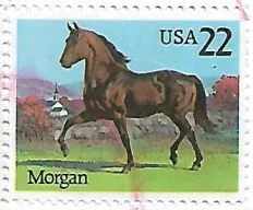 Selo Cavalo Morgan