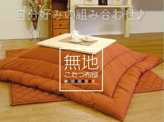 In Japan cats and people like to sit in the kotatsu a low table with a 
