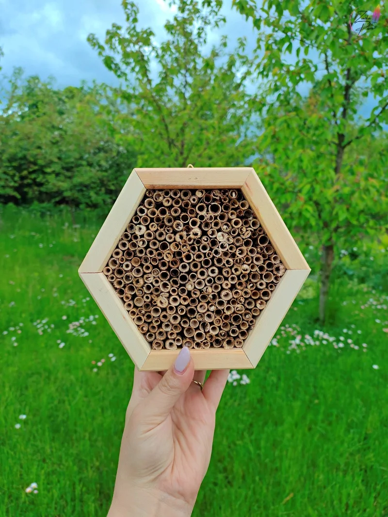 Beesafe.pl dba nie tylko o Ciebie, ale też o populację pszczół. Nie wierzysz? Sprawdź ten wpis!