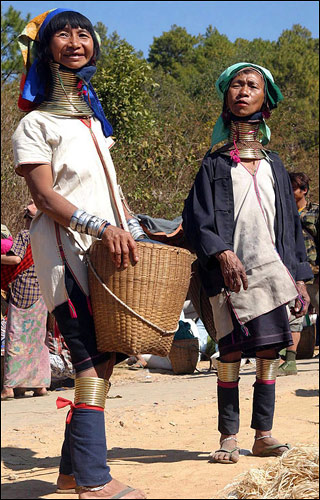 long4 أغرب العادات والتقاليد في قبائل بورما ، ينتج عنها أطول أعناق عند النساء