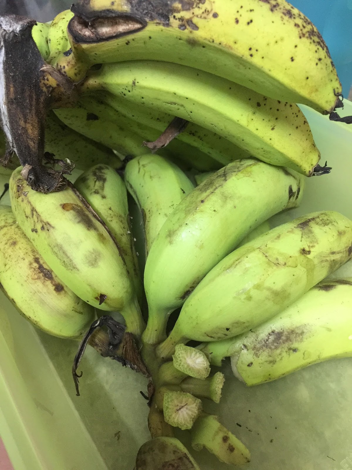 Lempeng Pisang Kelapa Sedap DiMakan Mudah Disediakan 