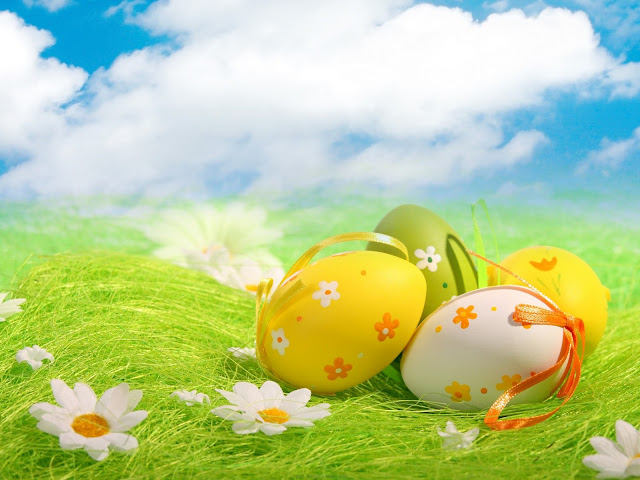 Easter Eggs,green grass and white flowers
