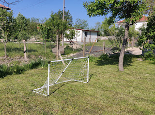 The football net is on the lawn
