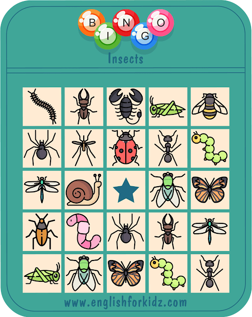 Insects bingo game – printable ESL worksheets for English teachers and students