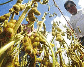 Agricultura en Bolivia