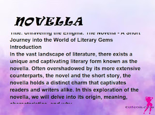 meaning of the name "NOVELLA"