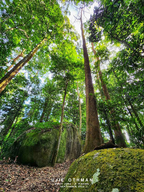 Bukit Juru, Pulau Pinang