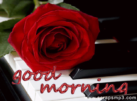 Good Morning Images Free  Download | whatsapp 2018 new good morning image free downlod | whatsapp good morning ans status free download