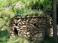 Barraca de vinya nº 2 amb lliris a la teulada. Autor: Jose Camp Herrero