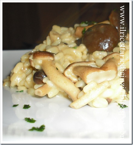 Risotto ai funghi chiodini