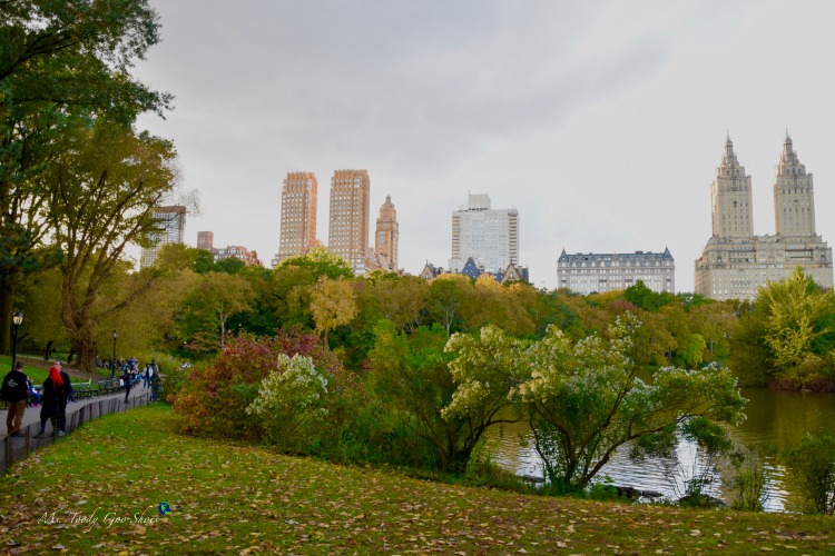 The Lake  in Central Park is breathtaking in fall! | Ms. Toody Goo Shoes #NewYorkCity 