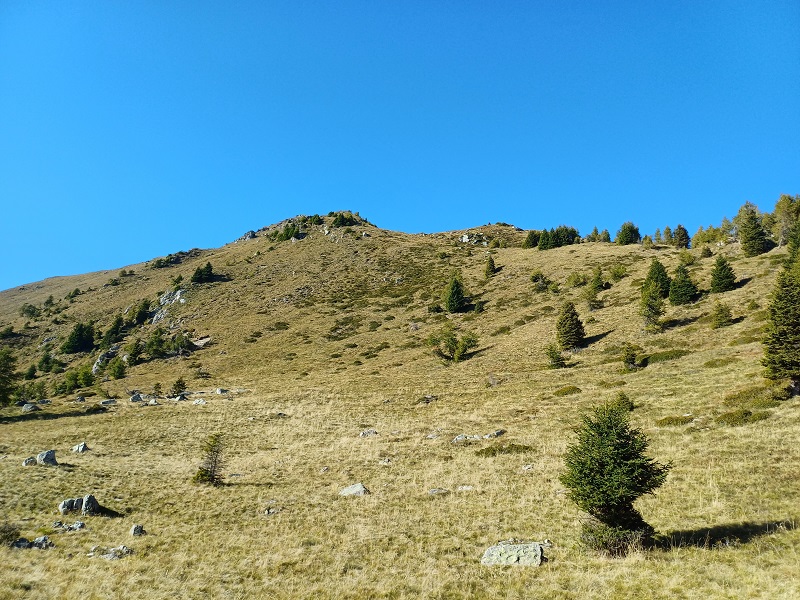 Salita alla cima di Monte Ciste