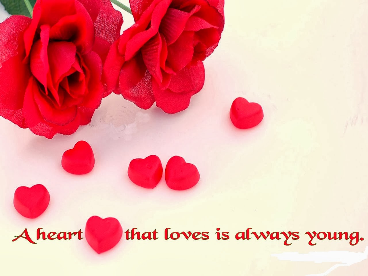 Love Quotes Sayings and Phrases in Images Free Download 