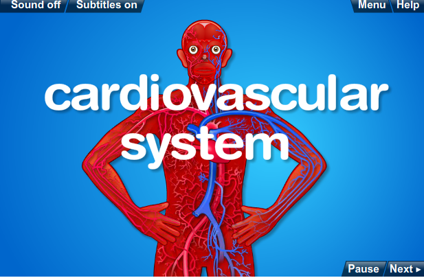 http://www.bbc.co.uk/schools/gcsebitesize/pe/appliedanatomy/circulatory/0_anatomy_circulatorysys_act.shtml