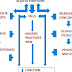 Orthostatic hypotension