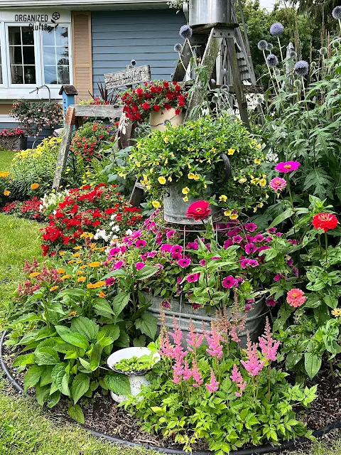 Photo of my junk garden front yard border.