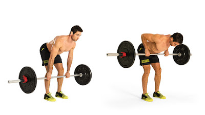 1- Bent Over Barbell Rows