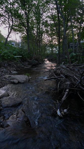 P1110936.jpg