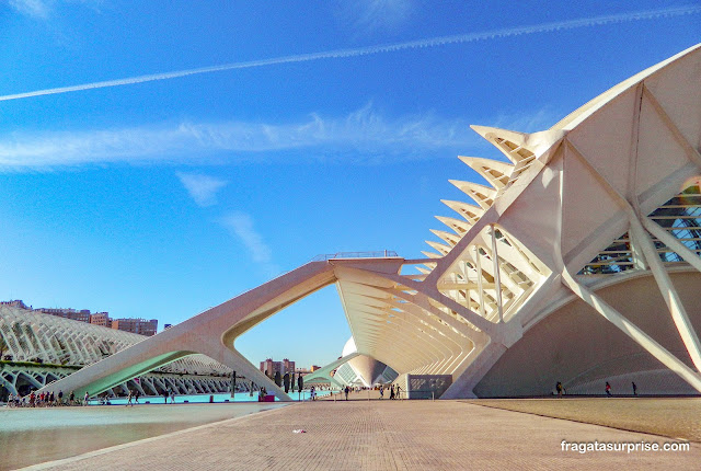 Cidade das Artes e das Ciências de Valência, Espanha