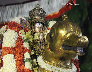 Udaiyavar,Emperumanar,Parthasarathy Perumal,Ramanujar, Varushotsavam, 2018, Video, Divya Prabhandam,Triplicane,Thiruvallikeni,Utsavam,