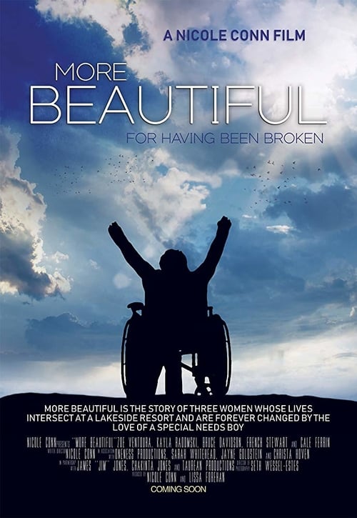 [HD] More Beautiful for Having Been Broken 2019 Streaming Vostfr DVDrip