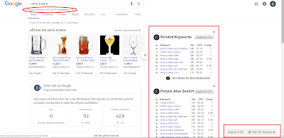 Exemple d'utilisation de Keywords Everwhere