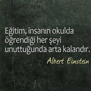 einstein , öğrenme