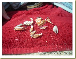 DSCN0662