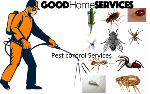  Home Deep Cleaning & Pest Control services