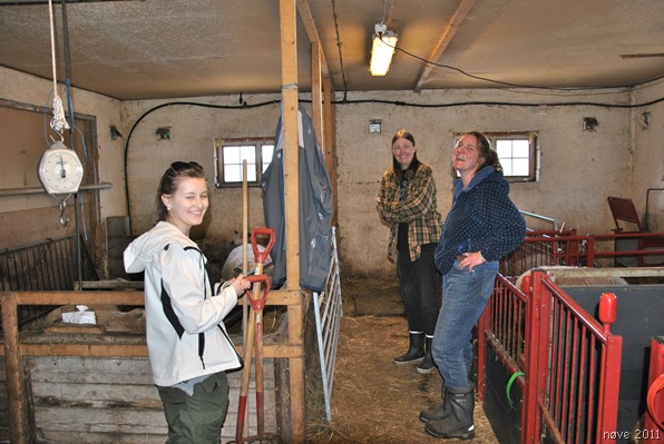 Tjøme 146