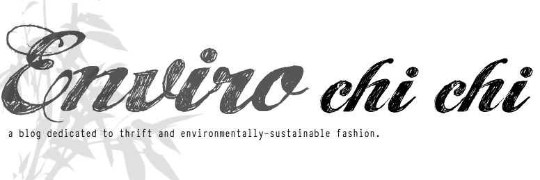 Enviro Chi Chi