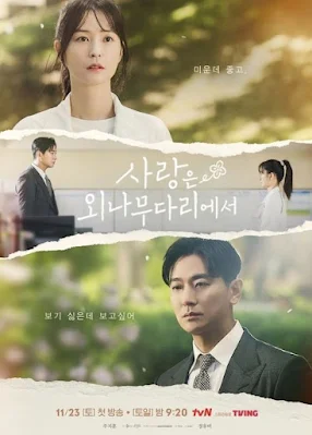 Nonton Drama Korea Love Your Enemy