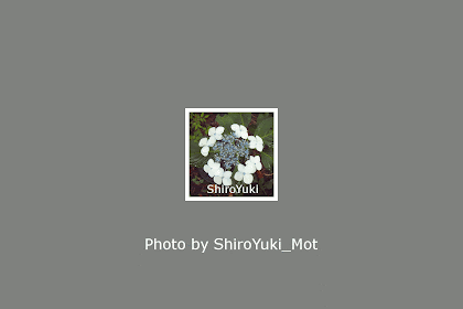 ShiroYuki_Mot の ひとりごと: GIMP GIF アニメーションを自分で (2 - gimp
写真 アニメ 背景