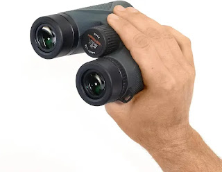Why Binoculars Are Essential for Bird Watching