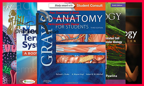 8 Books for 1st Year Medical Student 