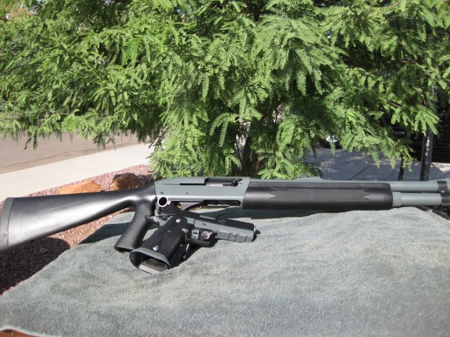Ricks shotgun with matching pistol