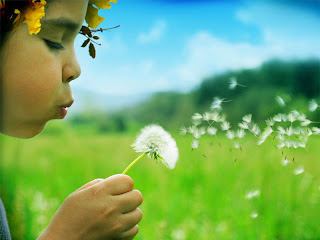 Beautiful Baby Wallpapers 2012