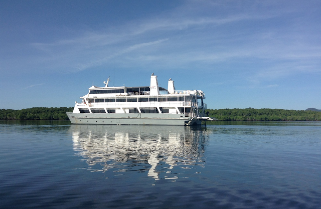 Coral Expeditions