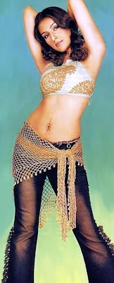Bollywood Actress Aarthi Chabria Navel Show Photos