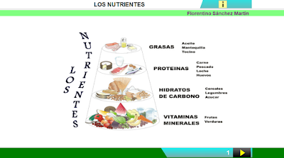 http://www.ceiploreto.es/sugerencias/cplosangeles.juntaextremadura.net/web/curso_4/naturales_4/los_nutrientes/los_nutrientes.html