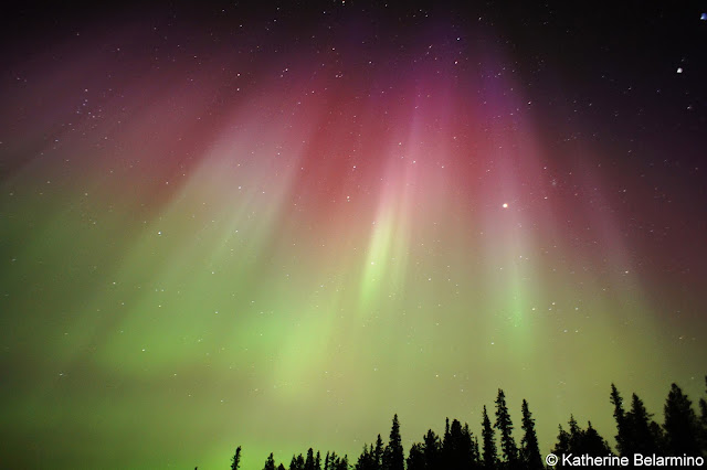 Photographing Pink and Green Northern Lights